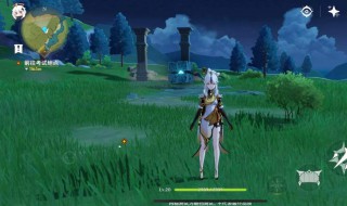 原神风场怎么飞（原神风场怎么飞高）