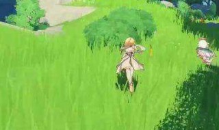 原神夜泊石在哪里 原神夜泊石在哪里买