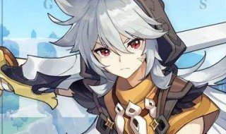 原神雷泽好用吗（原神雷泽带什么）