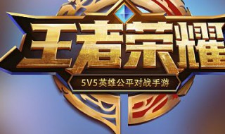 王者荣耀怎么看自己的皮肤(王者荣耀怎么看自己的皮肤有哪些)