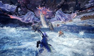 怪物猎人世界黑龙怎么配装 怪物猎人世界黑龙怎么配装