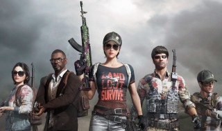 和平精英的兵器是什么 和平精英的兵器是什么皮肤