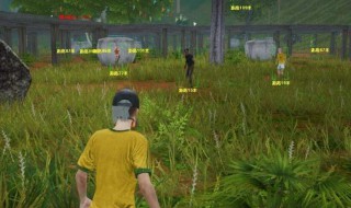 吃鸡的详细攻略（吃鸡的详细攻略图）