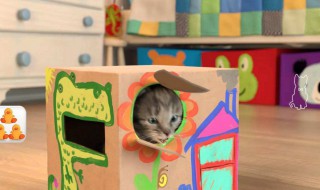 适合小朋友的室内游戏（适合小朋友的室内游戏多人）