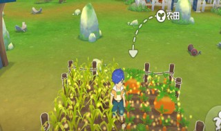 悠长假期鱼怎么获得 悠长假期鱼肉怎么获得