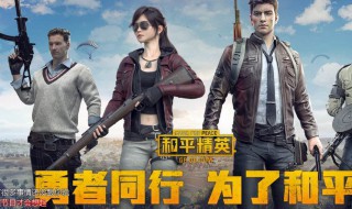 和平精英里面的微信名片怎么打招呼（和平精英 微信名片）