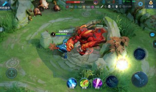 王者荣耀野区是打野的吗（王者荣耀打野有）