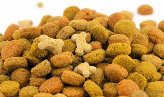 如何自制狗狗拌粮(自制狗粮拌狗粮吃可以吗)