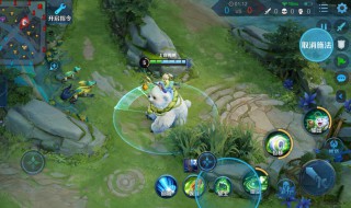 打阿骨朵出装推荐（阿骨朵暴击出装）