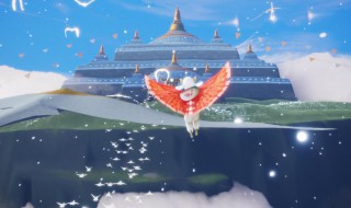 光遇圣岛位置在哪（光遇圣光岛在哪里）