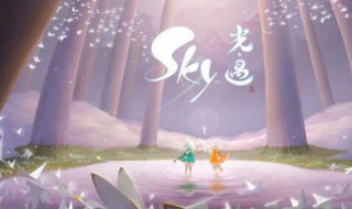 光遇椅子从哪里得（光遇椅子在哪）