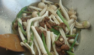 蟹味菇怎么炒好吃又简单的做法 蟹味菇怎么炒好吃又简单