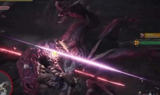 怪物猎人怎么用飞刀 怪物猎人世界飞龙刀怎么做