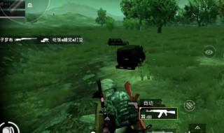 好听的单身吃鸡名（好听的吃鸡单字名字）