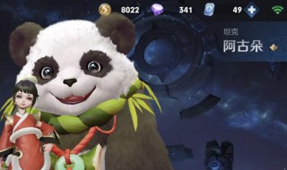 王者荣耀阿古朵怎么打野快（王者荣耀阿古朵怎么打野快）