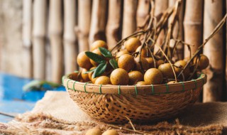 新鲜龙眼冷库储存技巧（新鲜龙眼冷库储存技巧图解）