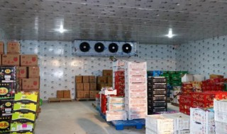 冷库储存食品技巧（冷库储存食品技巧视频）