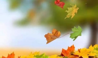 散文读后感（散文读后感200字）