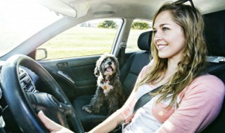 深圳汽车限行时间（深圳汽车限行时间2020最新规定）