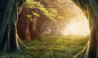 即将转运的征兆（开始转运的预兆）