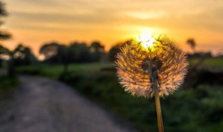 祝福朋友的早安问候语（祝福朋友的早安问候语八字）