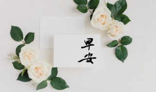 销售给客户发微信问候（销售给客户发微信问候晚上）