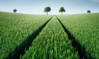 奋斗激发人心励志短句 奋斗激发人心励志短句300字