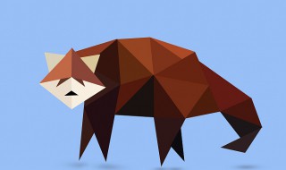 狸的组词（笨的组词）