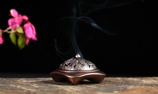 熏的组词（熏的组词是什么）