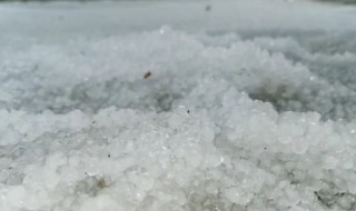 冰雹的雹组词（冰雹的雹组词形近字）