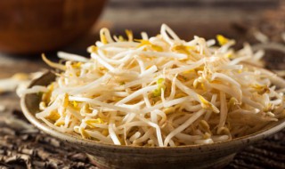 怎么发黄豆芽简单做法窍门（怎样发黄豆芽最简单又好图解）