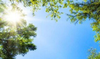 甲醛的标准范围是多少 甲醛释放标准