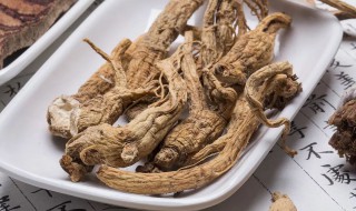 当归黄芪的功效与作用吃法 当归黄芪的功效与作用吃法禁忌人群