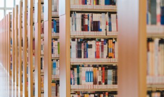 大放厥词的意思 大放厥词的意思及造句