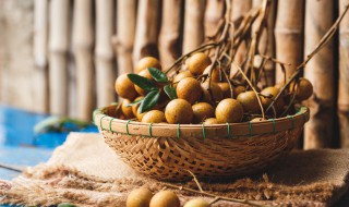 鲜桂圆的功效与作用吃法(鲜桂圆的功效与作用吃法及禁忌)