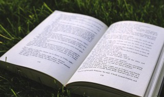 水字旁的男孩名字大全（带木字旁和水字旁的男孩名字大全）