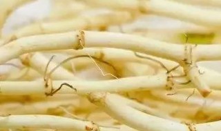 鱼腥草的禁忌和副作用 鱼腥草的禁忌和副作用及禁忌