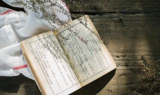 像心像意的意思（像心是什么意思）