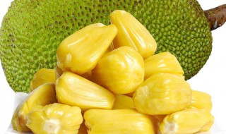 菠萝蜜的吃法有几种（菠萝蜜的吃法有几种做法）