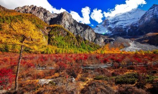 属鼠缺火女孩起名字（属鼠五行缺火女孩取名精选）