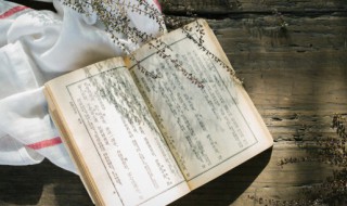 宋画吴冶的意思 宋画吴治成语意思