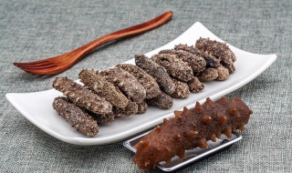 吃海参的禁忌食物（吃海参的禁忌?）