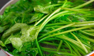 菠菜的功效与作用禁忌菠菜做法（菠菜的做用和功效）