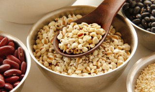 薏米的功效与作用禁忌薏仁（薏仁米功效作用及禁忌）