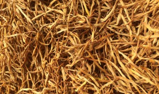 干黄花菜的功效与作用禁忌(干黄花菜的功效与作用禁忌症)