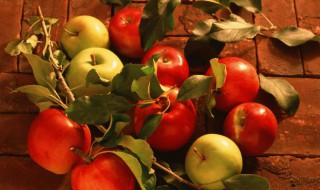 苹果单词怎么写 苹果单词怎么写香蕉的英语单词怎么写