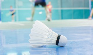 羽毛球英语单词怎么读（羽毛球运动英语单词怎么读）