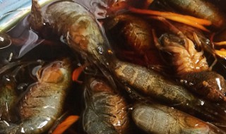腌制醉虾的做法大全窍门 如何腌制醉虾