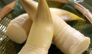 竹笋禁竹笋的功效和作用禁忌(竹笋的禁忌是什么)