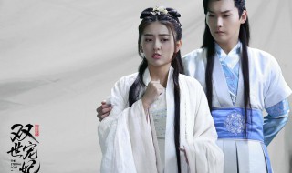 双世宠妃曲檀儿第几集消失（双世宠妃1檀儿哪一集消失的）